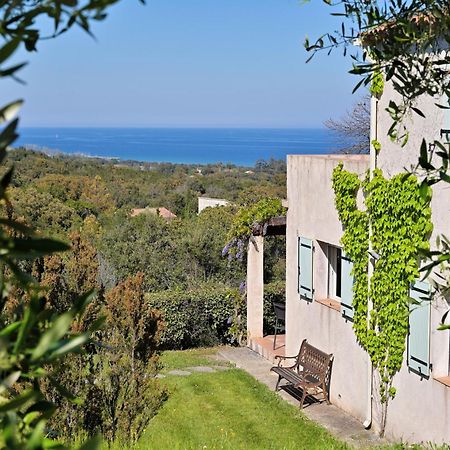 Villa vue mer dans nature protégée, plage à 1,5 km Cervione Extérieur photo