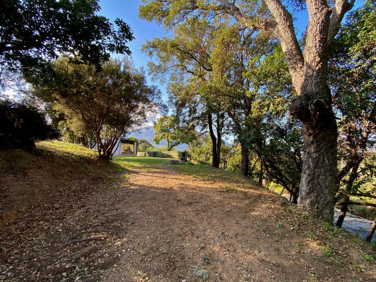 Villa vue mer dans nature protégée, plage à 1,5 km Cervione Extérieur photo