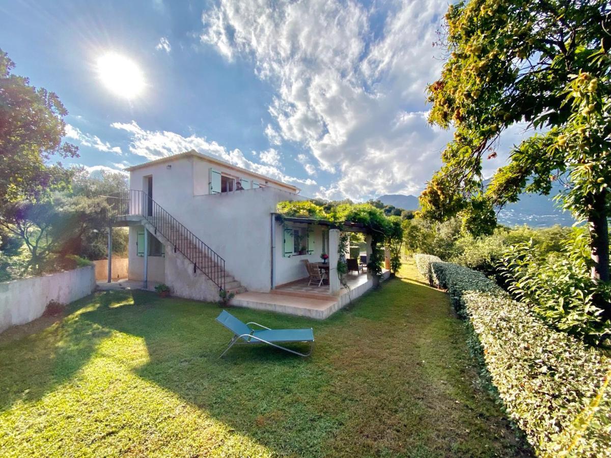 Villa vue mer dans nature protégée, plage à 1,5 km Cervione Extérieur photo